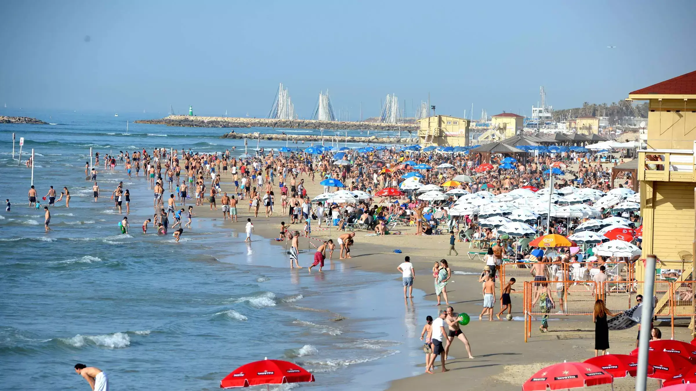 רוחצים בחופי תל אביב בשרב החורפי רוחצים בחופי תל אביב בשרב החורפי