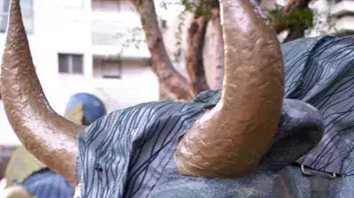 שוורים מתוך מייצג 70 שנה לבורסה שוורים מתוך מייצג 70 שנה לבורסה
