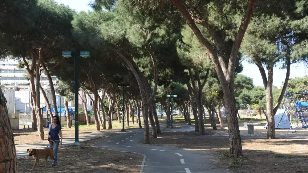 פארק החורשות בקרית שלום, דרום תל אביב מרץ 2015 פארק החורשות בקרית שלום, דרום תל אביב מרץ 2015