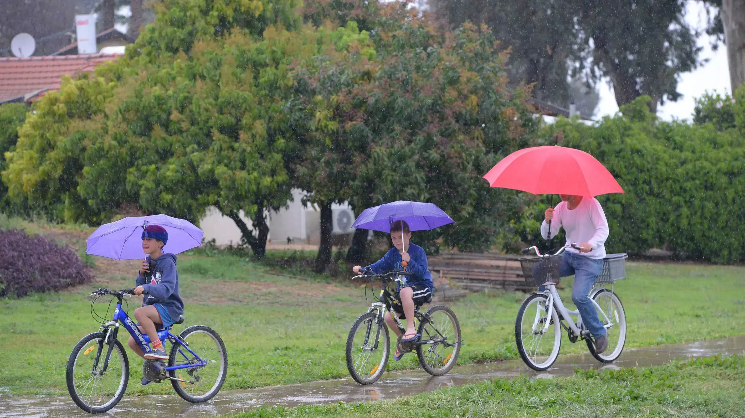 גשם בקיבוץ גינוסר, 11 באפריל 2015 גשם בקיבוץ גינוסר, 11 באפריל 2015