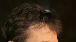 מייקל גיי פוקס