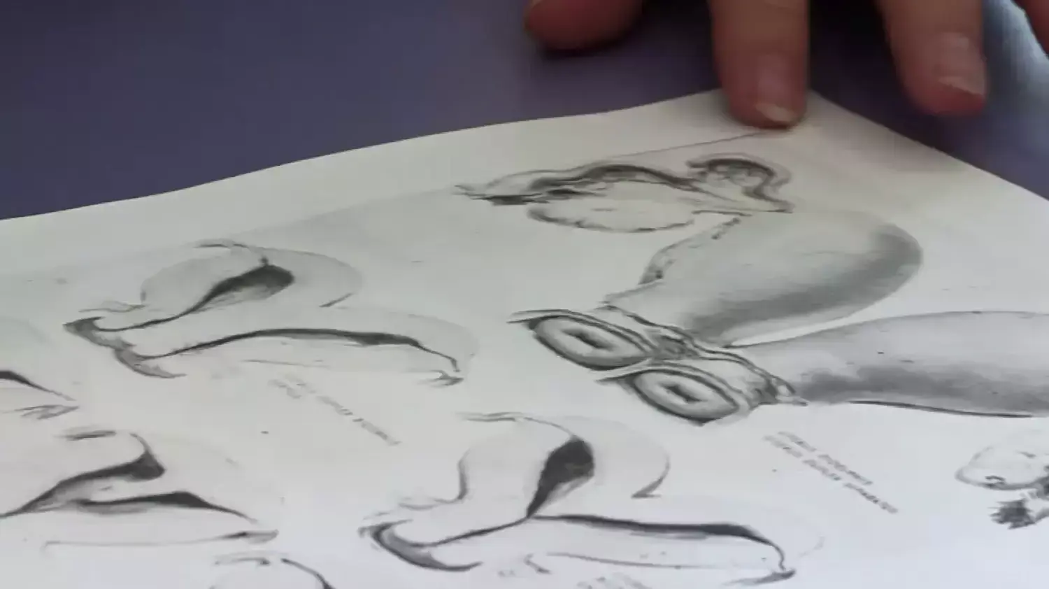 קסנדרה בנקסון קסנדרה בנקסון
