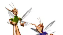 Loco Loco Mosquito