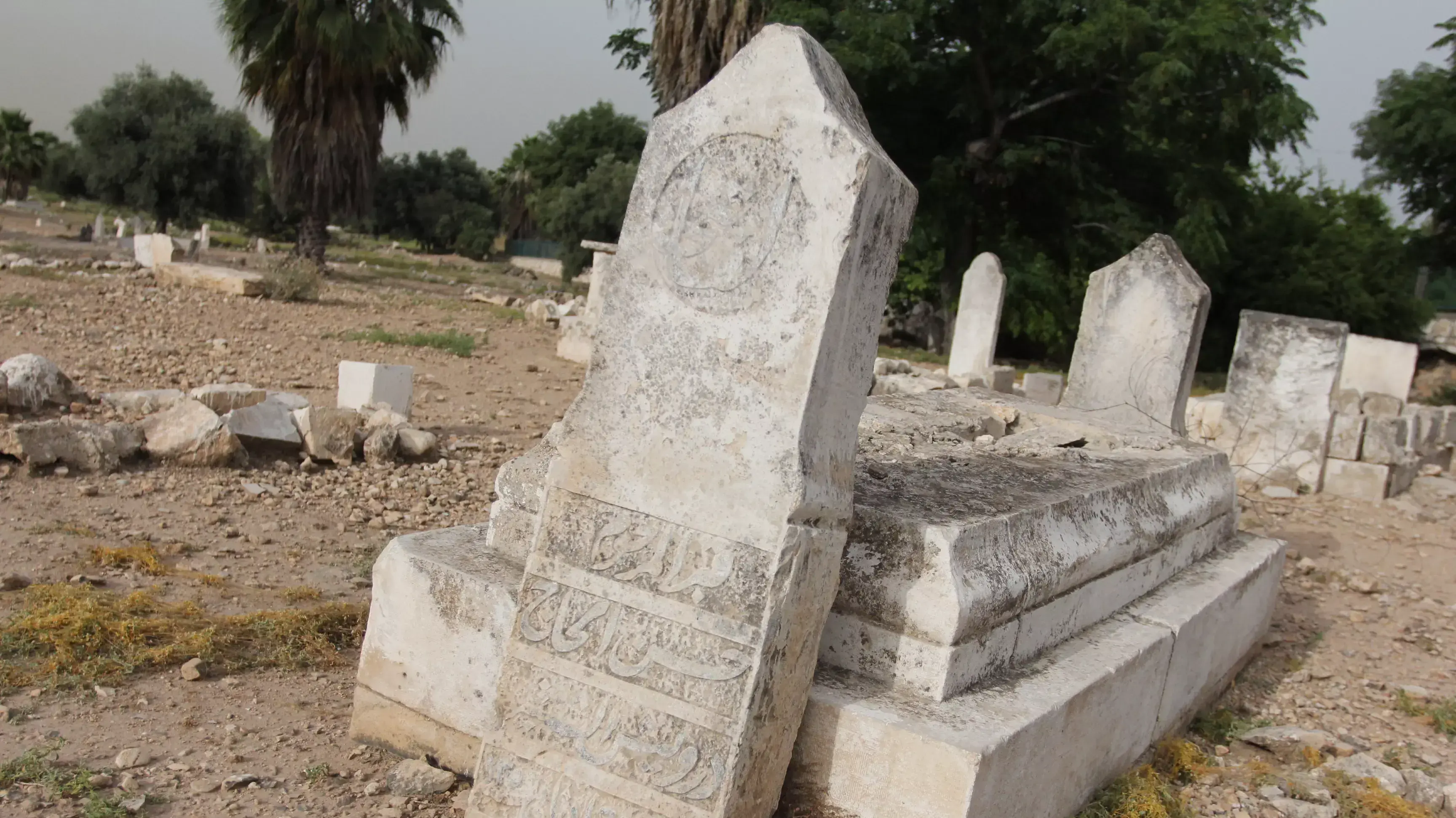 בית הקברות המוסלמי בנשר, מאי 2015 בית הקברות המוסלמי בנשר, מאי 2015