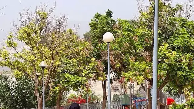 אימא טאליבן תועדה בבית שמש מאי 2015 אימא טאליבן תועדה בבית שמש מאי 2015
