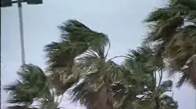 סערת רוחות בחיפה סערת רוחות בחיפה