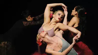 דרמה דאנס קומפני drama dance company (גדי דגון) דרמה דאנס קומפני drama dance company (גדי דגון)
