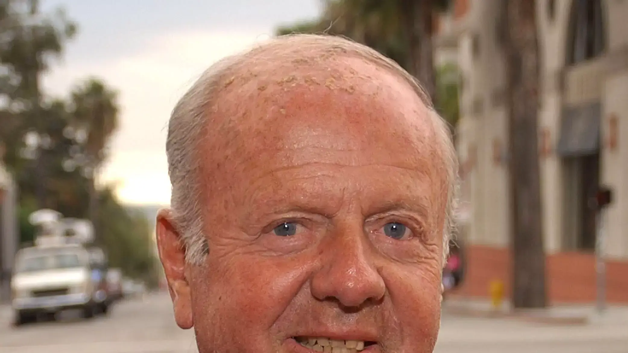 מהאבות הגדולים בטלוויזיה. דיק ואן פטן מהאבות הגדולים בטלוויזיה. דיק ואן פטן