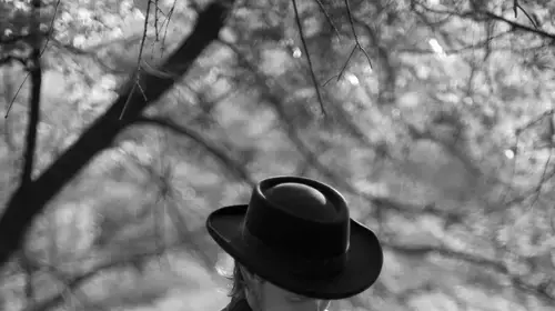 timber timbre timber timbre