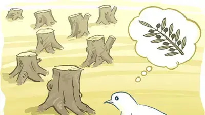 קריקטורה איל אילת