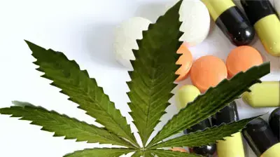 אילוסטרציה גראס תרופות אילוסטרציה גראס תרופות