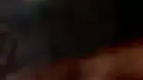 הופעות חיות באנר