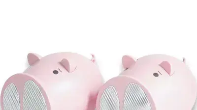 רמקול רמקולים חזיר חזירים רמקול רמקולים חזיר חזירים