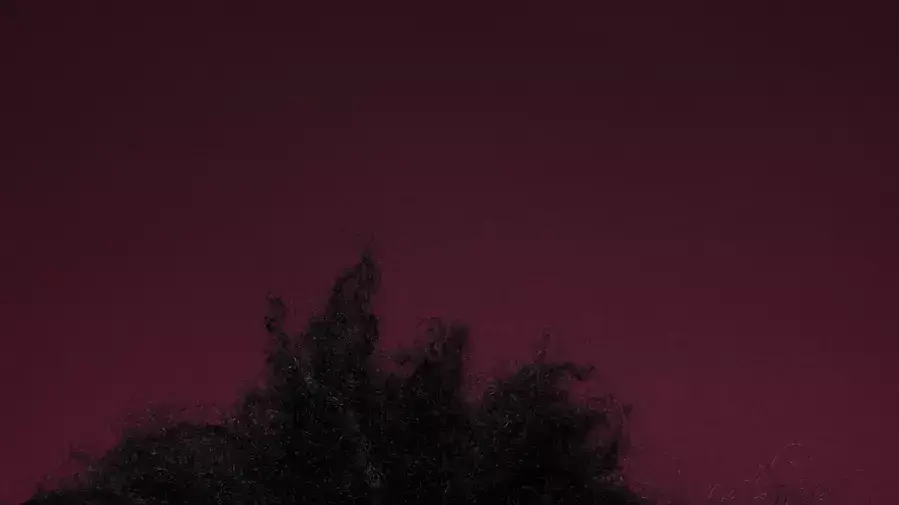 תודה לאמנים שהביאו אותם עד הלום. Ibeyi תודה לאמנים שהביאו אותם עד הלום. Ibeyi