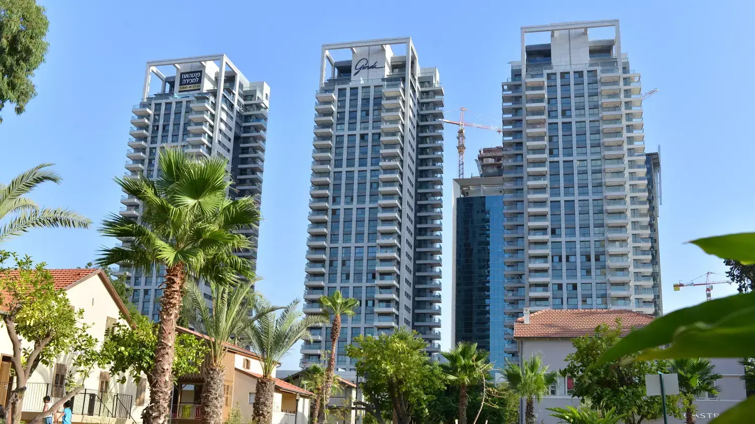 פרויקט גינדי שרונה פרויקט גינדי שרונה