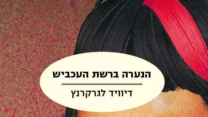כריכה הנערה ברשת העכביש, דיוויד לגרקרנץ כריכה הנערה ברשת העכביש, דיוויד לגרקרנץ