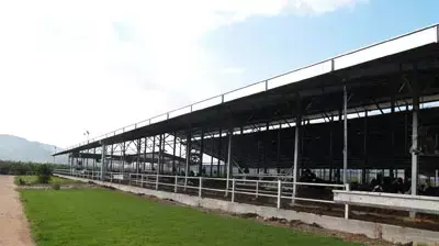 רפת אקולוגית בגינוסר רפת אקולוגית בגינוסר
