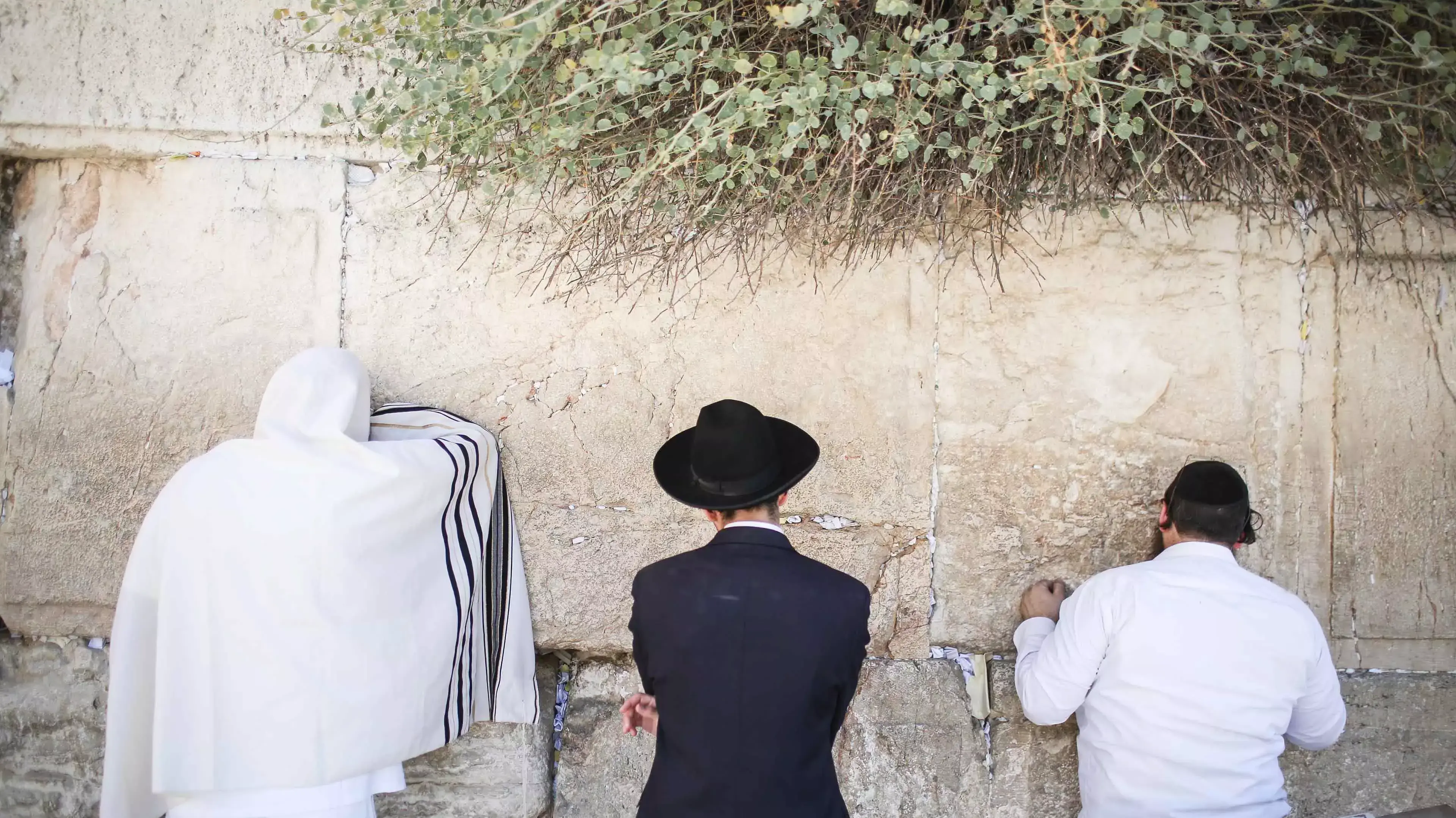 תפילות ברחבת הכותל בירושלים ביום הכיפורים, ספטמבר 2015 תפילות ברחבת הכותל בירושלים ביום הכיפורים, ספטמבר 2015