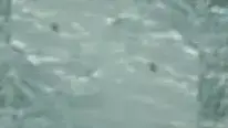 בנימין נתניהו, ברק אובמה, אבו מאזן