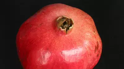 רימון רימון