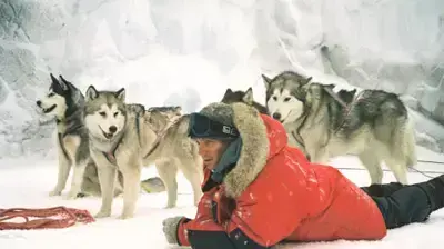 Eight Below Eight Below