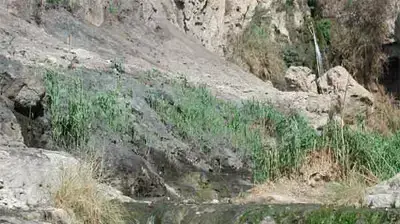 שמורת טבע עין גדי (באישור) שמורת טבע עין גדי (באישור)