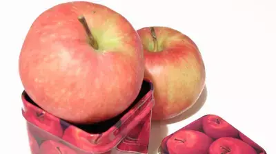 תפוח בקופסה תפוח בקופסה