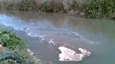 זיהום מפעל מילובן את נחל הנעמן (עמותת צלול) זיהום מפעל מילובן את נחל הנעמן (עמותת צלול)