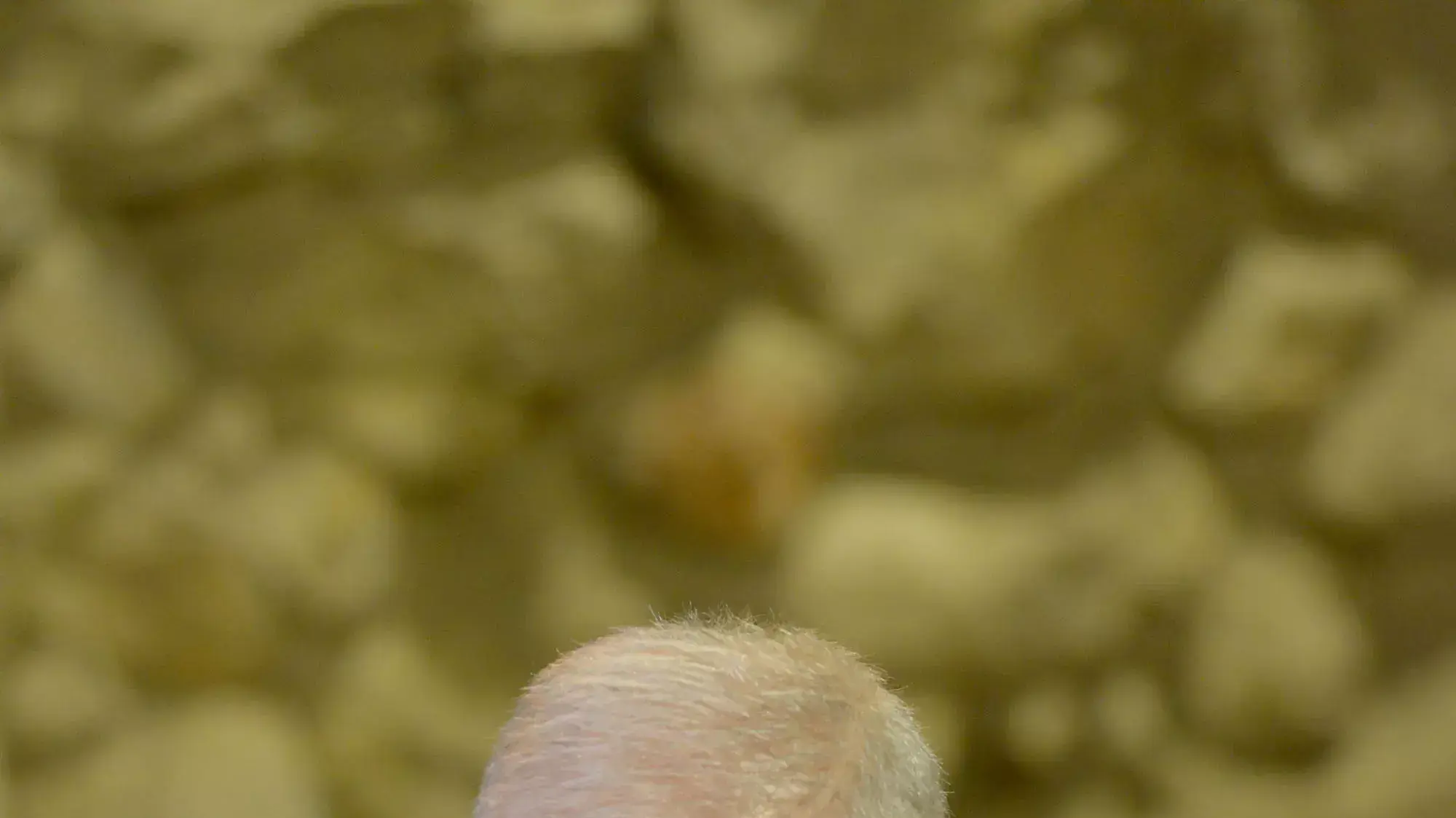נשיא המדינה ביקר באתר החפירה בעיר דוד שם התגלתה טביעת חותם של המלך חזקיהו, 2 בדצמבר 2015 נשיא המדינה ביקר באתר החפירה בעיר דוד שם התגלתה טביעת חותם של המלך חזקיהו, 2 בדצמבר 2015