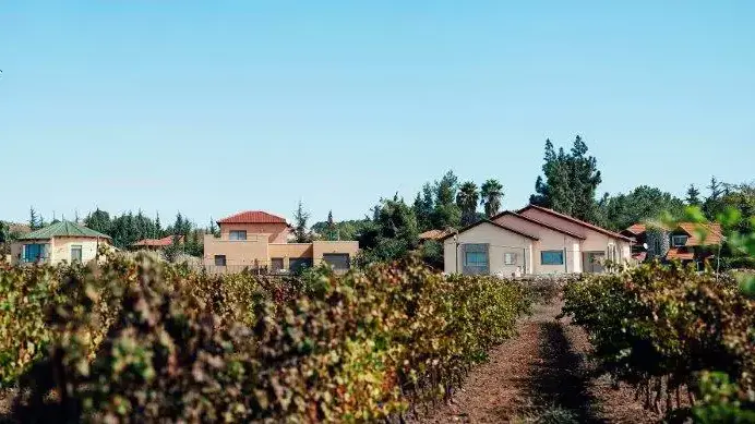 שעל, דצמבר 2015 שעל, דצמבר 2015