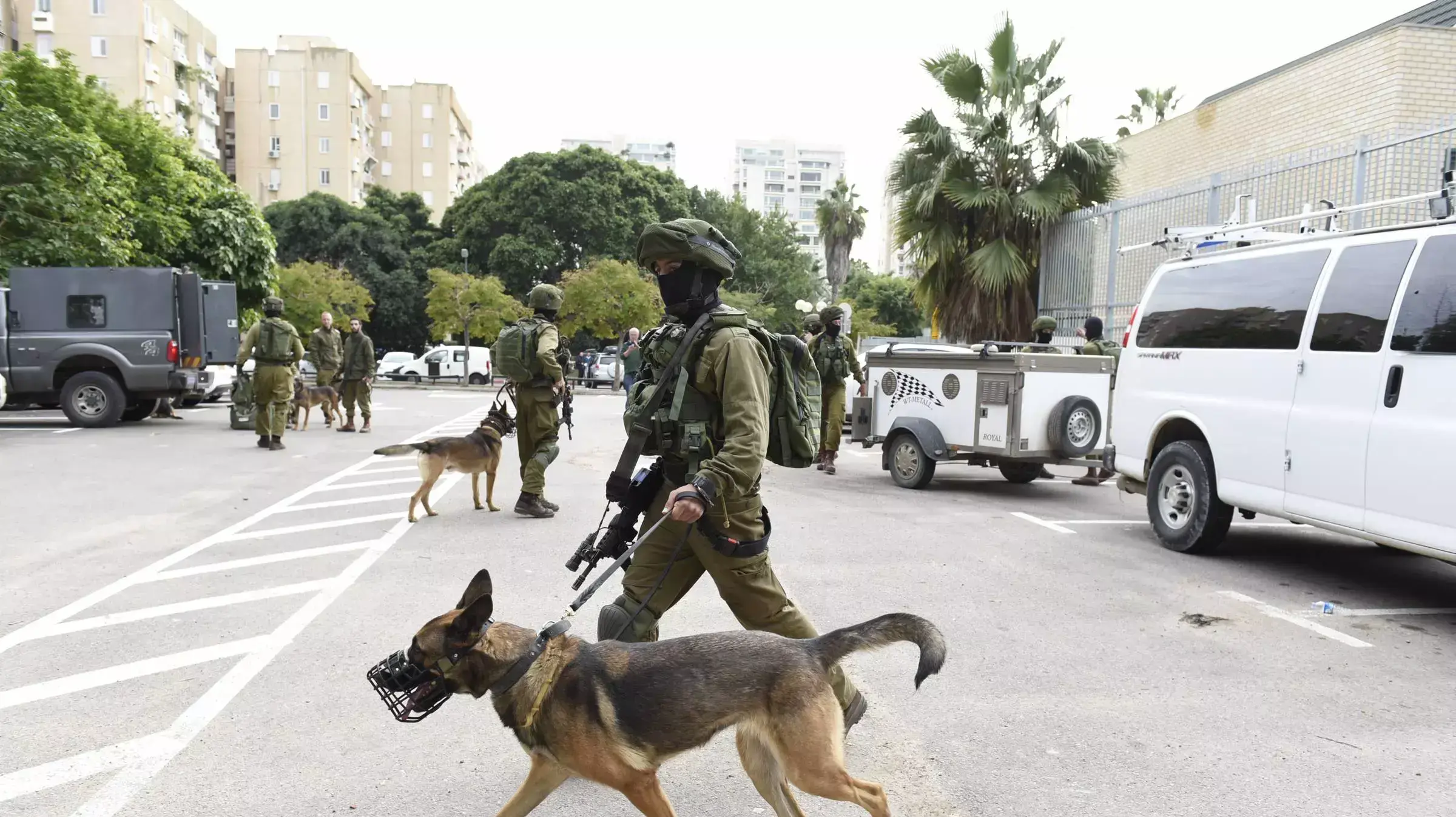 חיפושים ברמת אביב אחרי נשאת מלחם חיפושים ברמת אביב אחרי נשאת מלחם