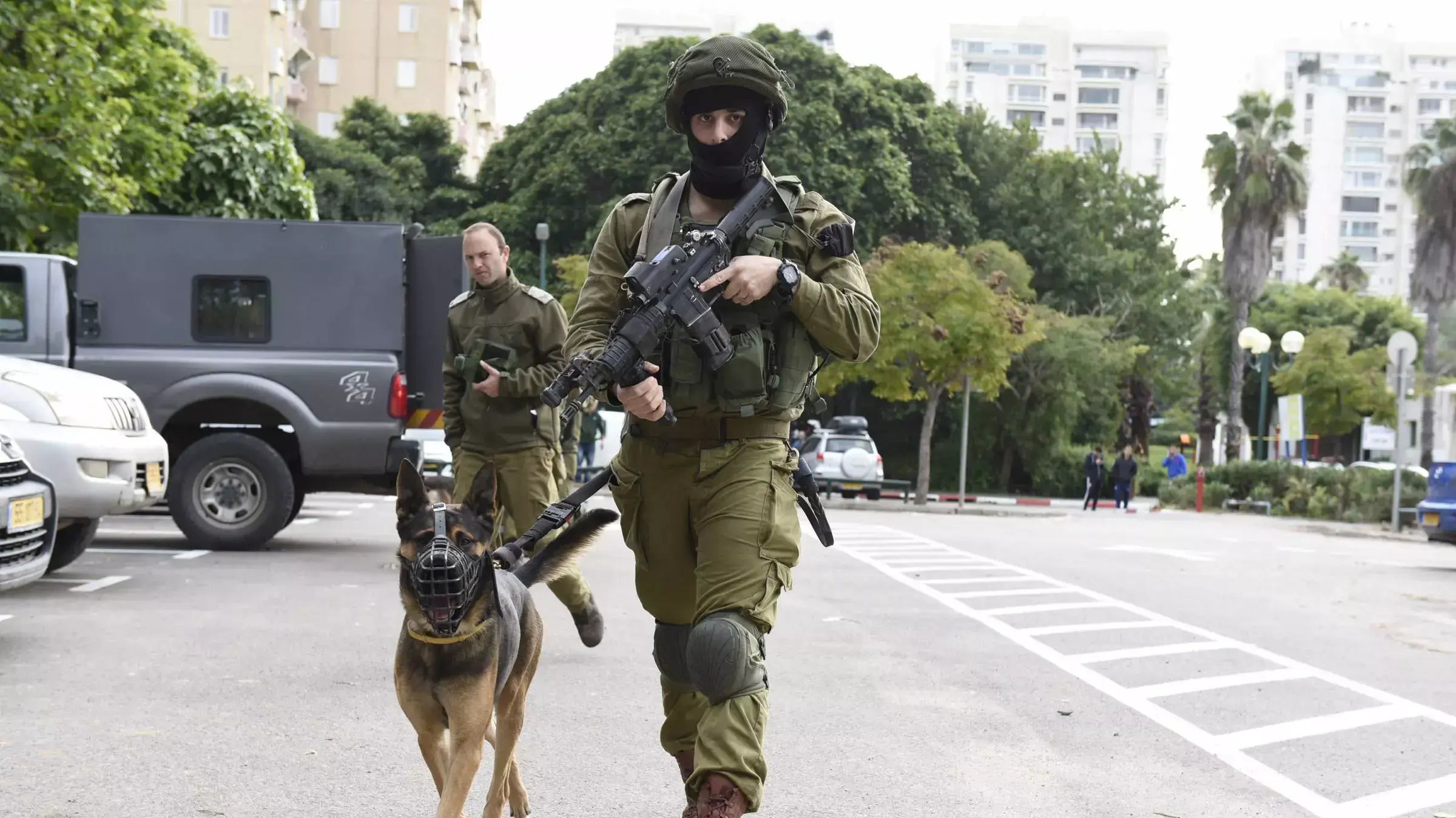 חיפושים ברמת אביב אחרי נשאת מלחם חיפושים ברמת אביב אחרי נשאת מלחם