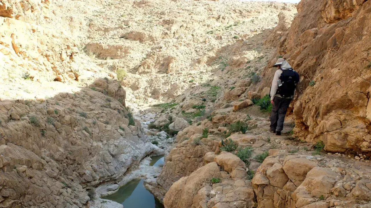נחל רחף עילי מדבר יהודה נחל רחף עילי מדבר יהודה
