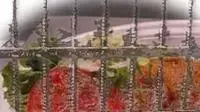 אילוסטרציה סורגים אוכל אילוסטרציה סורגים אוכל