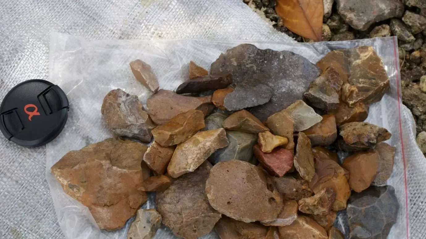 כלי אבן שהתגלו בטאלפו, סולווסי, אינדונזיה, ינואר 2016 כלי אבן שהתגלו בטאלפו, סולווסי, אינדונזיה, ינואר 2016