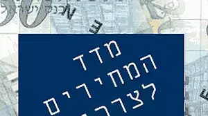 אילוסטרציה מדד המכירים לצרכן אילוסטרציה מדד המכירים לצרכן