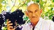 עמי מוארמן מהשוק הסיטונאי עמי מוארמן מהשוק הסיטונאי