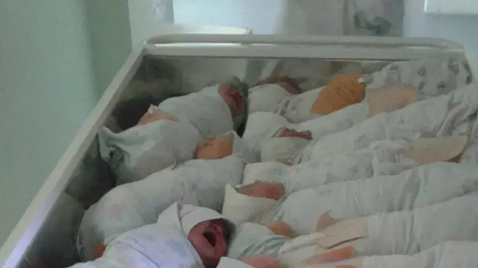 17 תינוקות בעגלת ברזל בעיר יז'ני נובגורוד ברוסיה, ינואר 2016 17 תינוקות בעגלת ברזל בעיר יז'ני נובגורוד ברוסיה, ינואר 2016