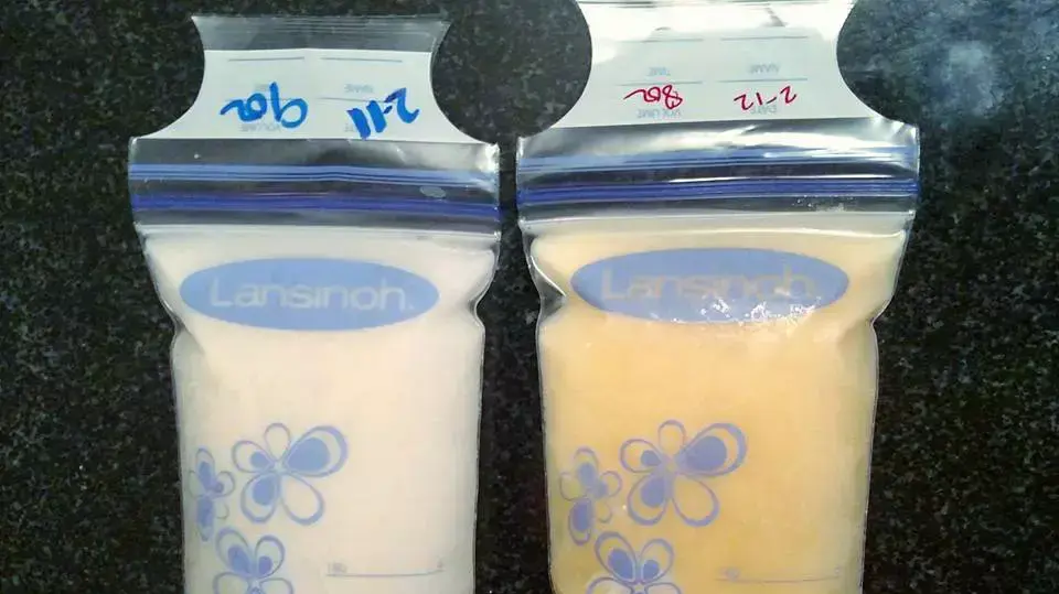 חלב אם שאוב בשקיות הקפאה חלב אם שאוב בשקיות הקפאה