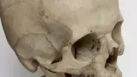 גולגולת גולגולת