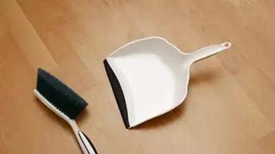 מטאטא יעה ניקיון סדר פסח