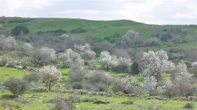 גבעות בית נטיף (צילום: דיוויד מאיר קוניאו) גבעות בית נטיף (צילום: דיוויד מאיר קוניאו)