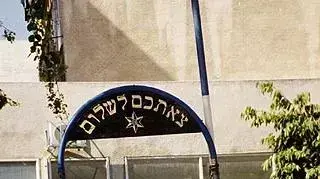 דודי אפל דודי אפל