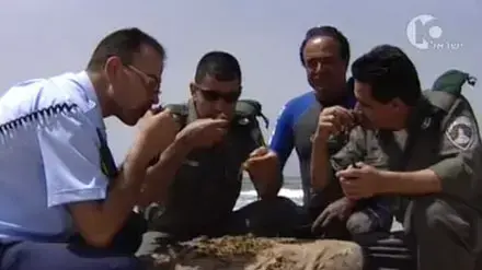 שקי מריחואנה שנפלטו לחופי הים בישראל שקי מריחואנה שנפלטו לחופי הים בישראל