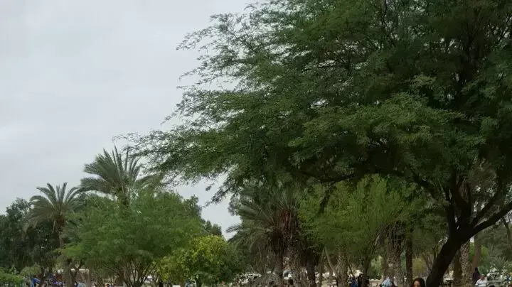 מטיילים בפארק אשכול, 27 באפריל 2016 מטיילים בפארק אשכול, 27 באפריל 2016