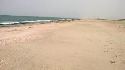 חוף הים בלתי מוכרז (רשות הטבע והגנים) חוף הים בלתי מוכרז (רשות הטבע והגנים)