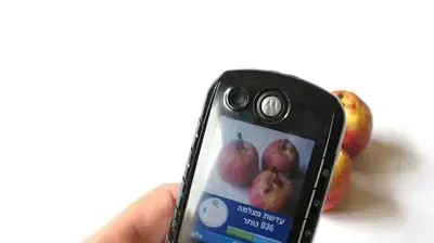 מוטורולה 1000 מוטורולה 1000