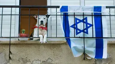 יום העצמאות ( גלעד בנארי )
