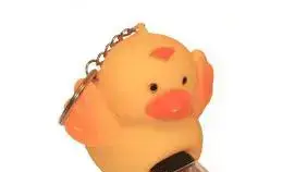ברווזון USB (צילומסך מאתר היצרן) ברווזון USB (צילומסך מאתר היצרן)