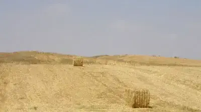 שדות במרחב שקמה ( א ג איזן אדריכלים ובוני ערים ) שדות במרחב שקמה ( א ג איזן אדריכלים ובוני ערים )